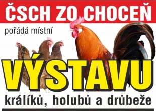 Výstava králíků, holubů a drůbeže Choceň