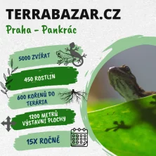 TERRABAZAR - prodejní burza terarijních zvířat červenec 2024