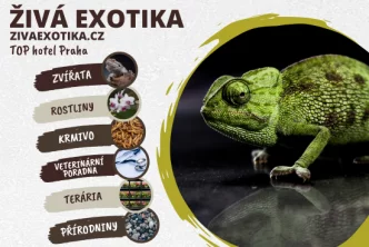 Živá Exotika