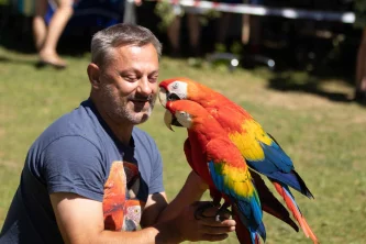 Odchov arů arakang, alias vzpomínka na Diega