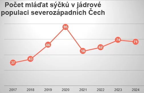 Sýčci letos na severu Čech vyvedli přes 70 mláďat