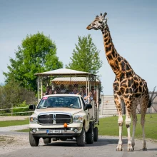 Zažijte neuvěřitelné dobrodružství v Zoo Dvůr Králové