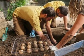 ZOO Plzeň je blízko velkému úspěchu. Želva obrovská nakladla vejce