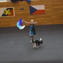 Vrchol českého dogdancingu nabídl pestrý program