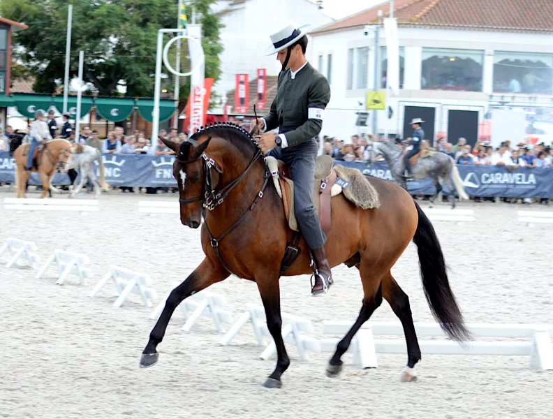 Golega – koňský festival, který musíte zažít!