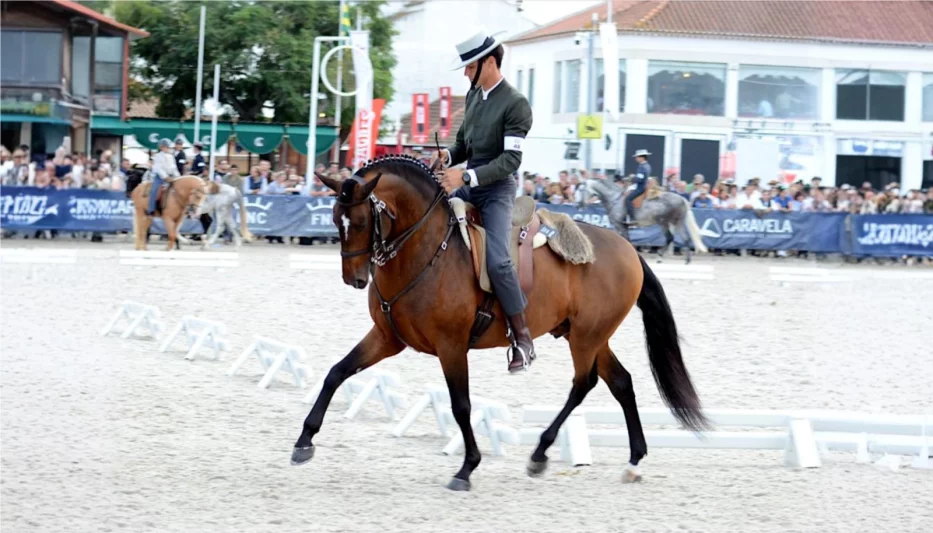 Golega – koňský festival, který musíte zažít!