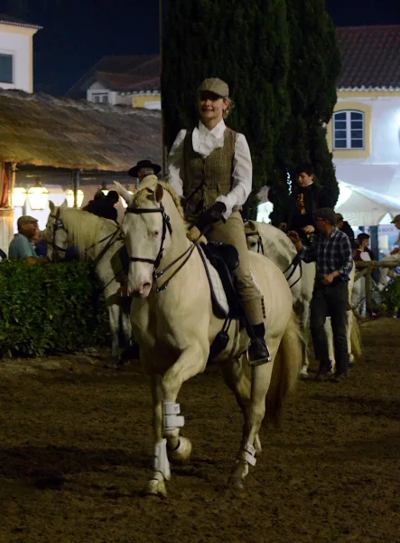 Golega – koňský festival, který musíte zažít!