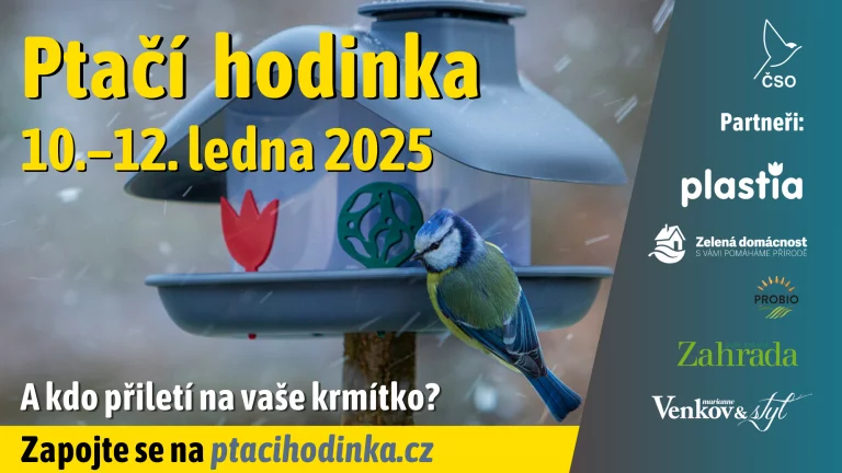 Ptačí hodinka je za dveřmi. Od pátku budou lidé sčítat ptáky na krmítkách