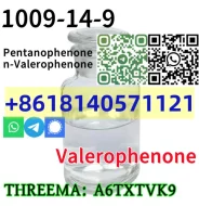 Buy Complete in specifications cas 1009-14-9 Valerophenone