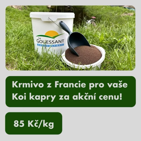 Krmivo pro koi kapry a okrasné ryby