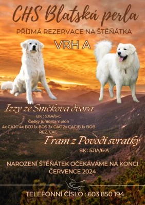 Rezervace štěňátek slovenského čuvače