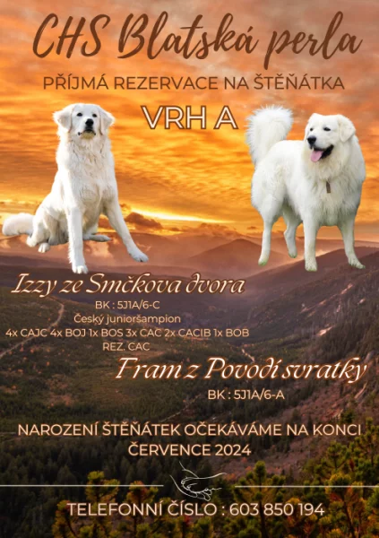 Rezervace štěňátek slovenského čuvače