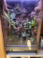 Terarium.