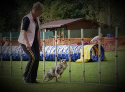 SUPERPES AGILITY - Blansko 8.9.2024