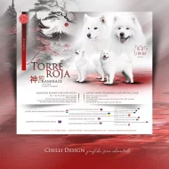 KAIDZU  LA TORRE ROJA- samojed s FCI PP