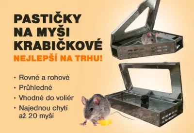 NOVĚ PRODEJ JEDŮ NA  MYŠI A KRYSY.TEL.604853346