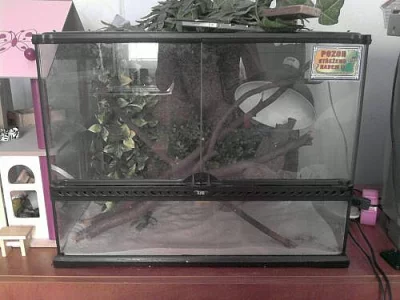 Terarium ExoTerra