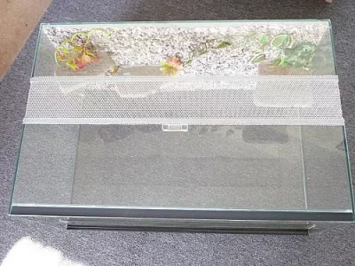 terarium 60x40x30